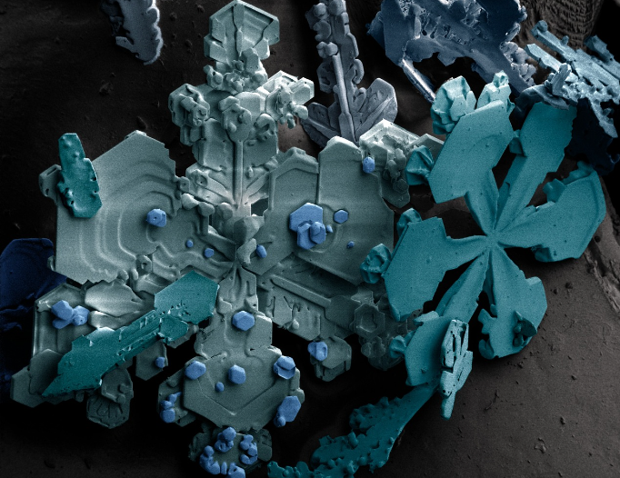 texture vue de tres pres